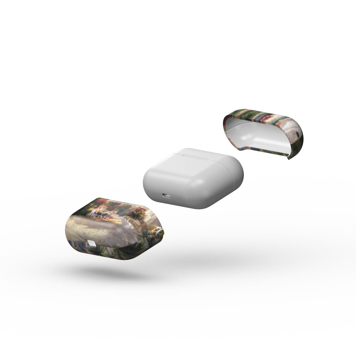 The Palm House - AirPods Case